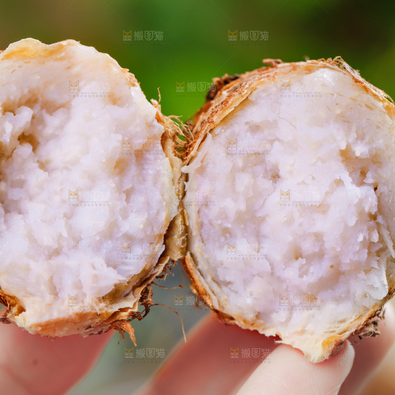 手上拿着小芋头