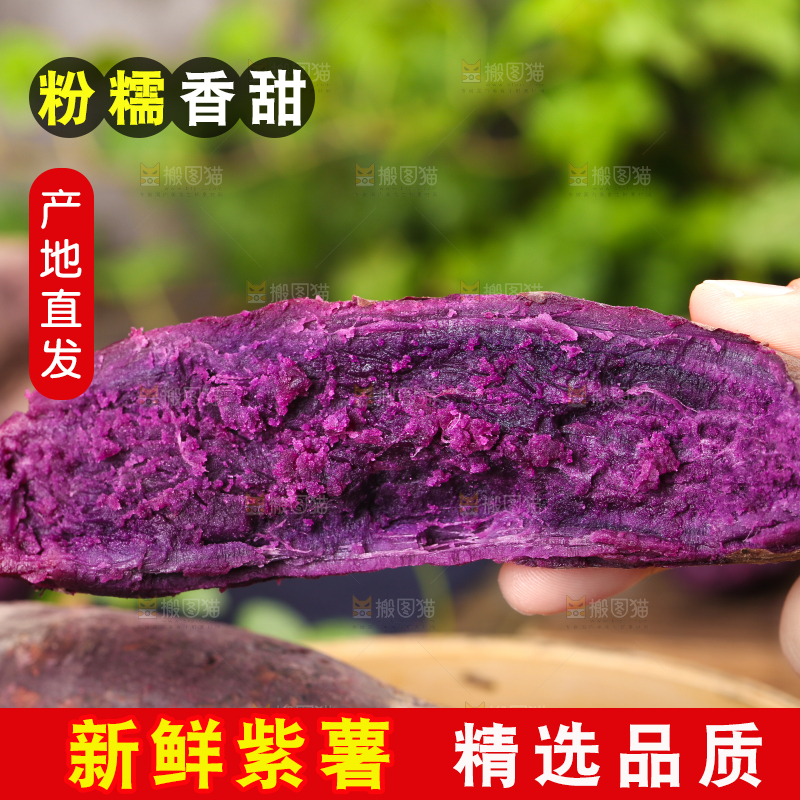 手上拿着熟的板栗紫薯