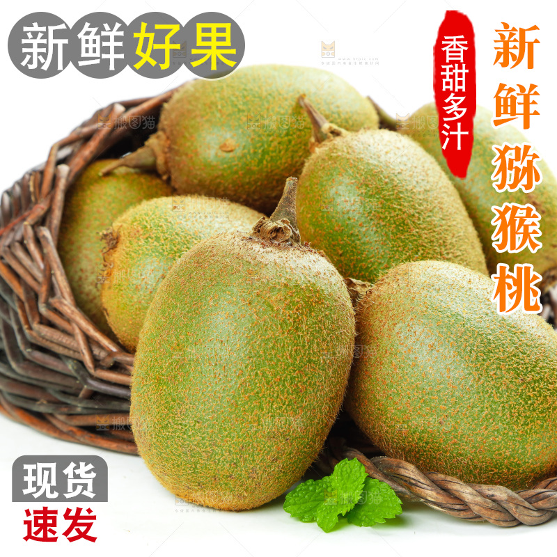 白底上一篮秦岭猕猴桃