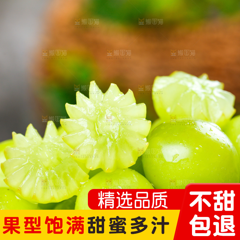一堆新鲜的阳光玫瑰青提