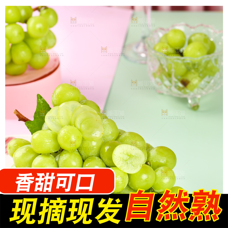 浅底上的晴王香印青提