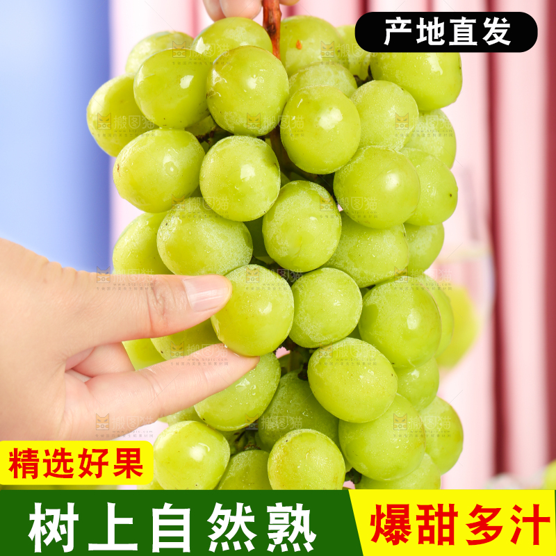 手上拿着一串新鲜阳光玫瑰