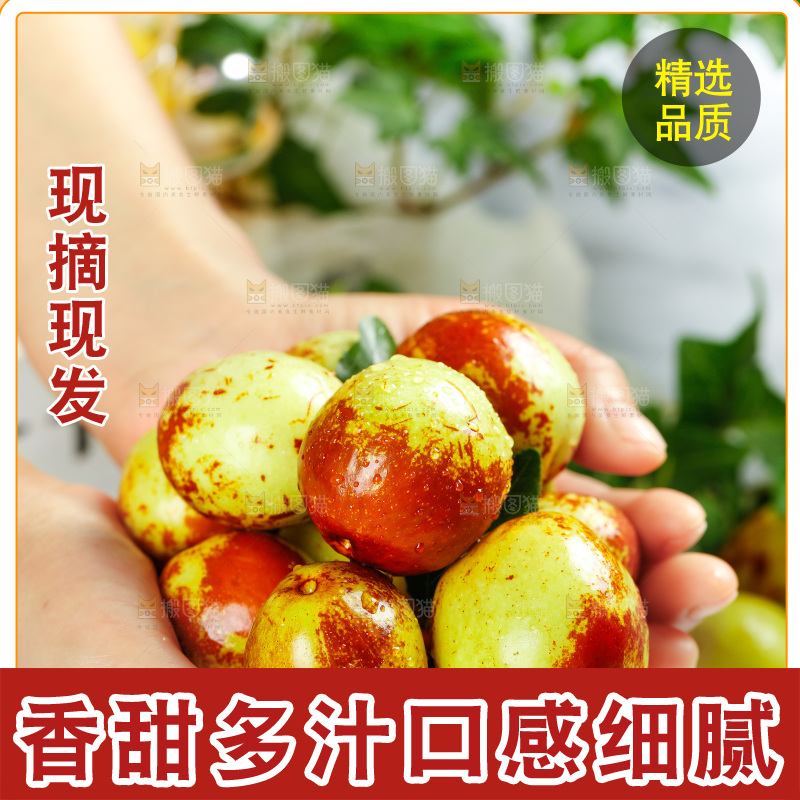 手上捧着冬枣