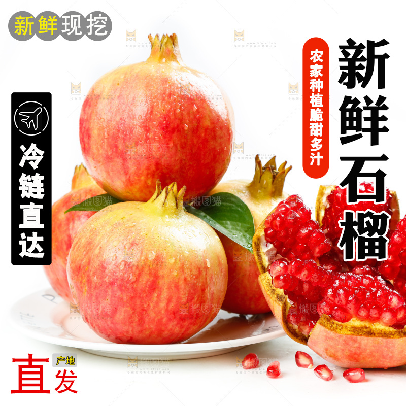 白底上放着一盘临潼石榴