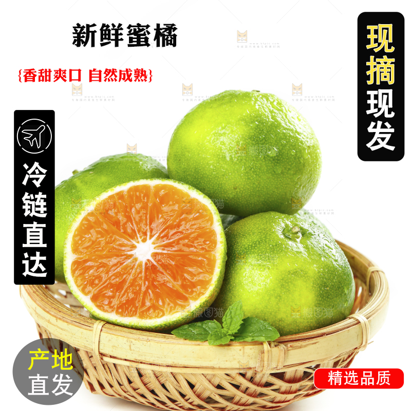 白底上一篮新鲜的青皮蜜橘
