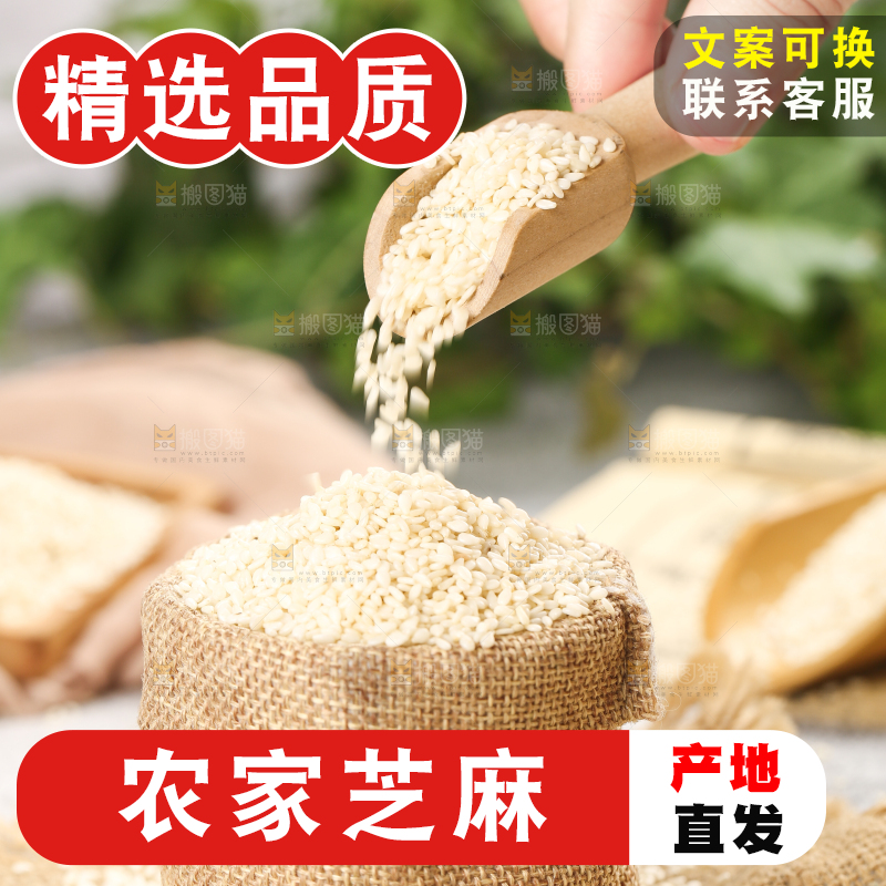 小麻袋里装着生芝麻和勺子上挖着芝麻
