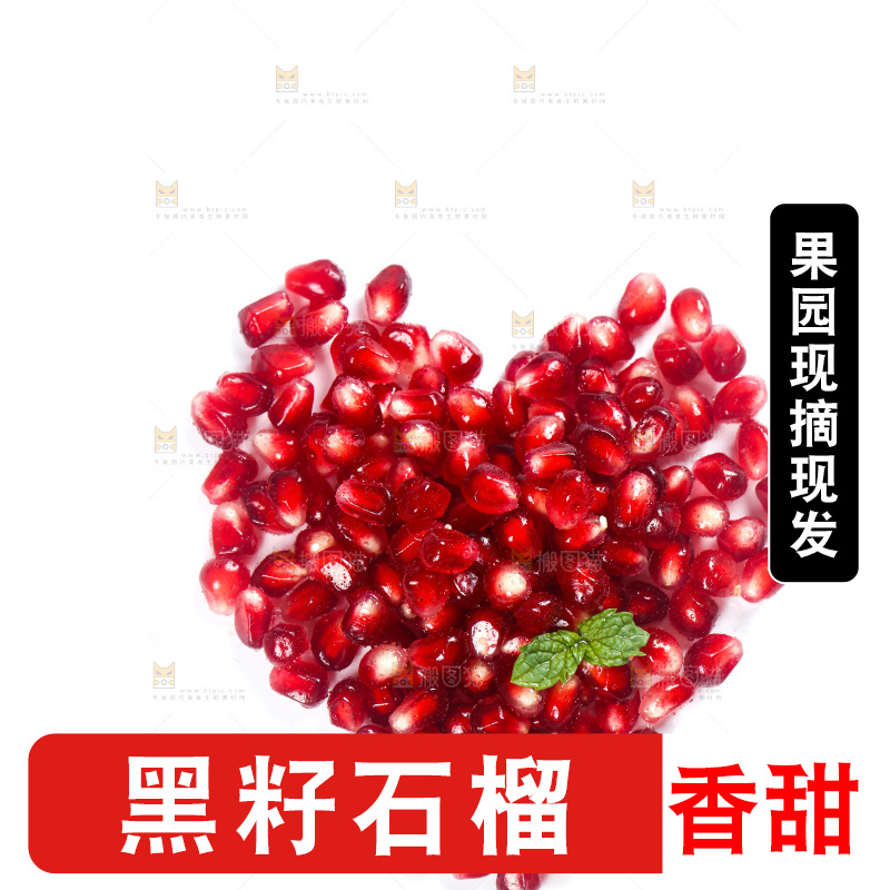 白底上的软籽石榴籽