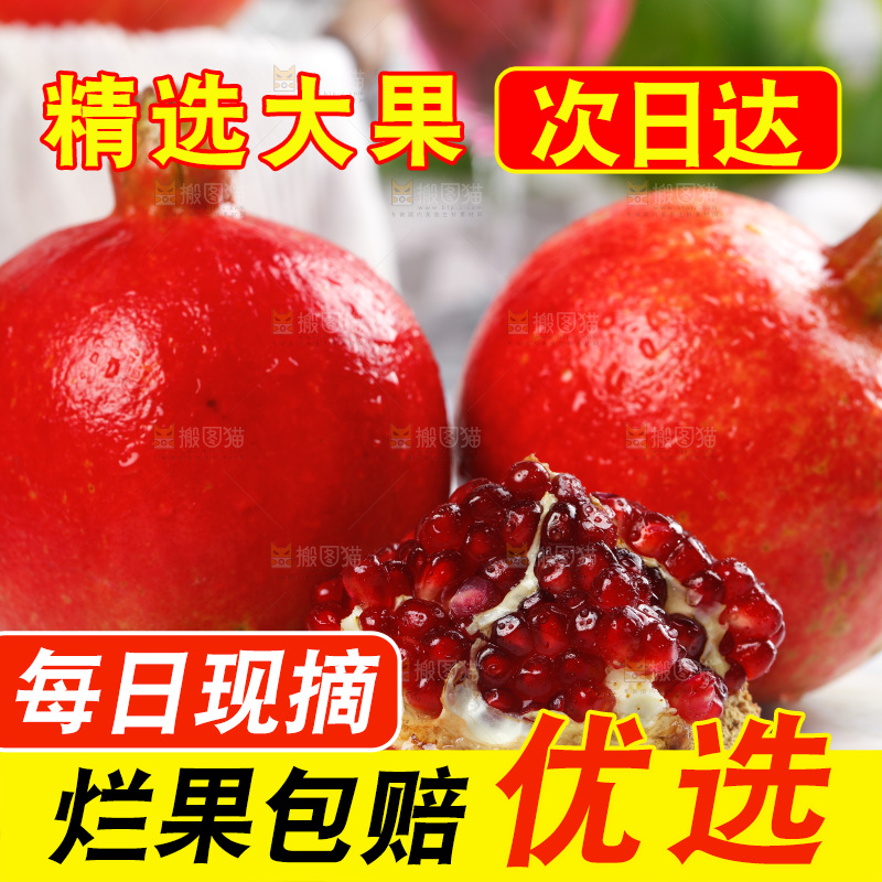 白石底上的红石榴