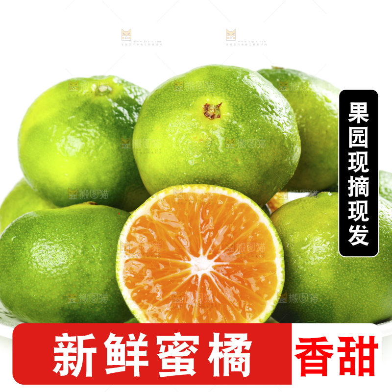 白底上盘子里的宜昌蜜桔