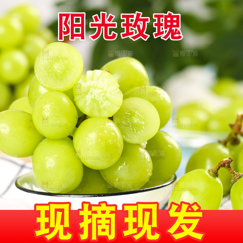 格子底上放着一盘晴王香印青提