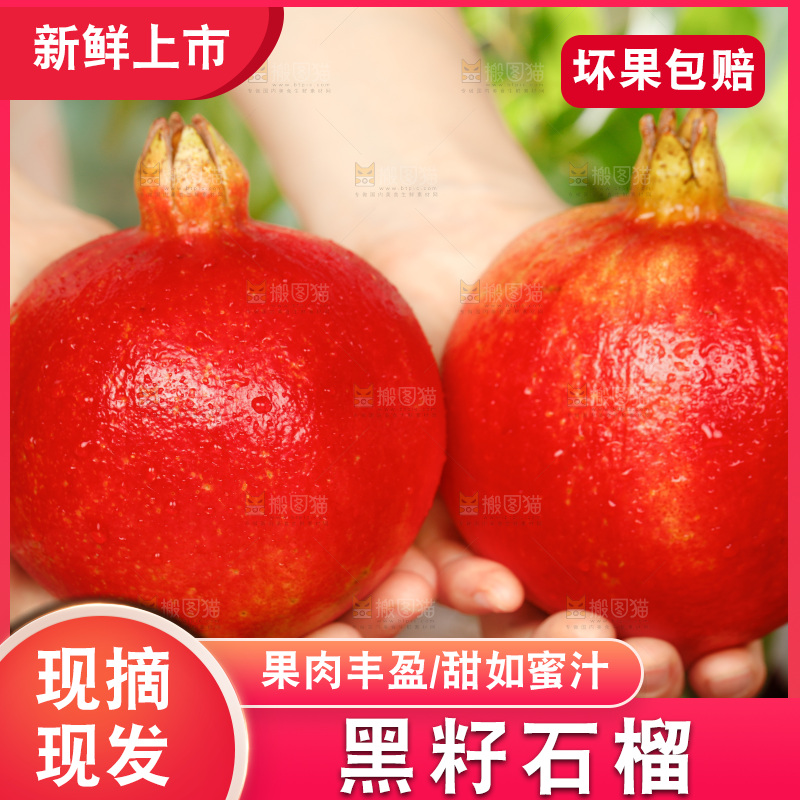 手上拿着软籽石榴