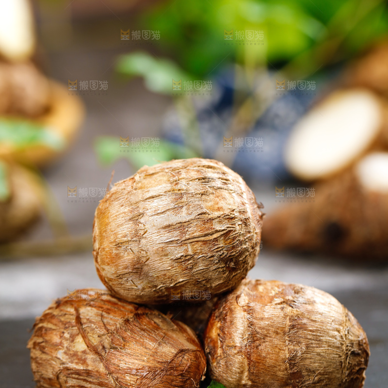 黑底上的荔浦毛芋头 