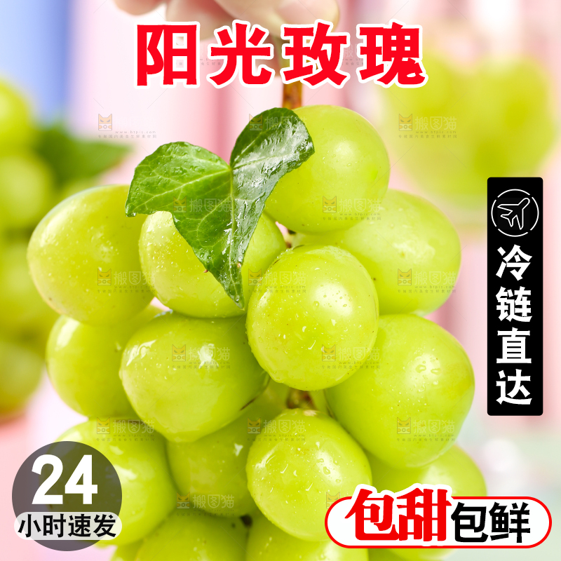 手上拿着一串新鲜阳光玫瑰