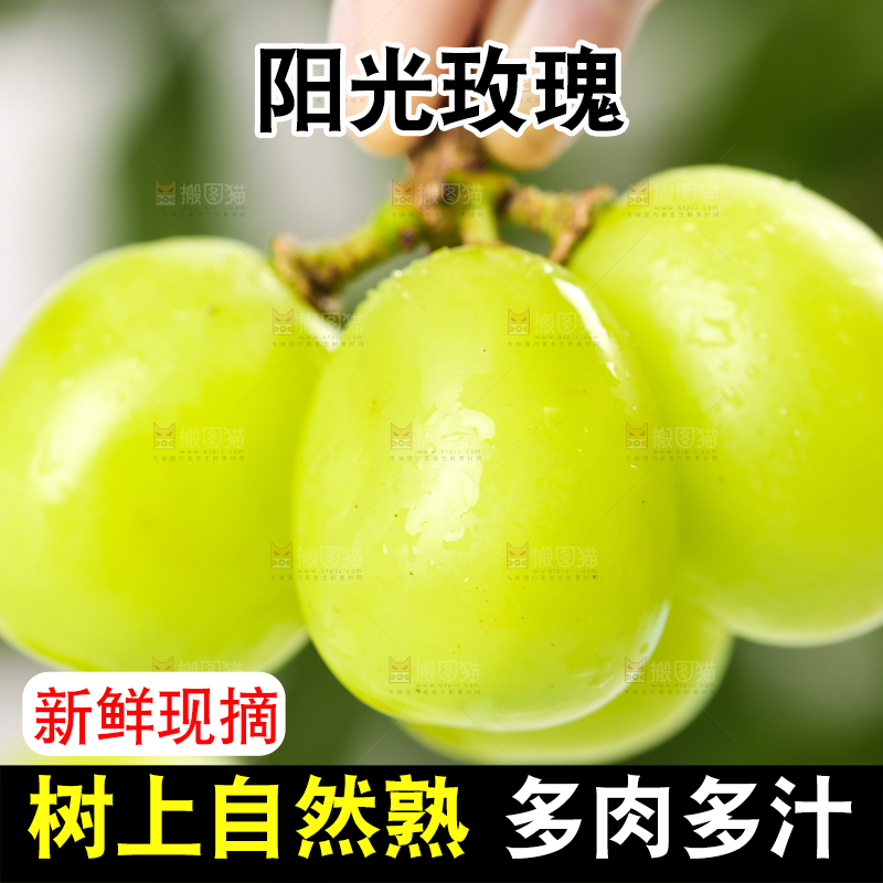 手上拿着晴王青提