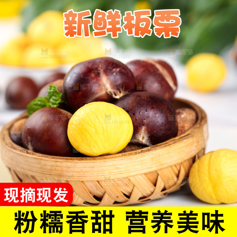 白底上一篮新鲜的丹东板栗
