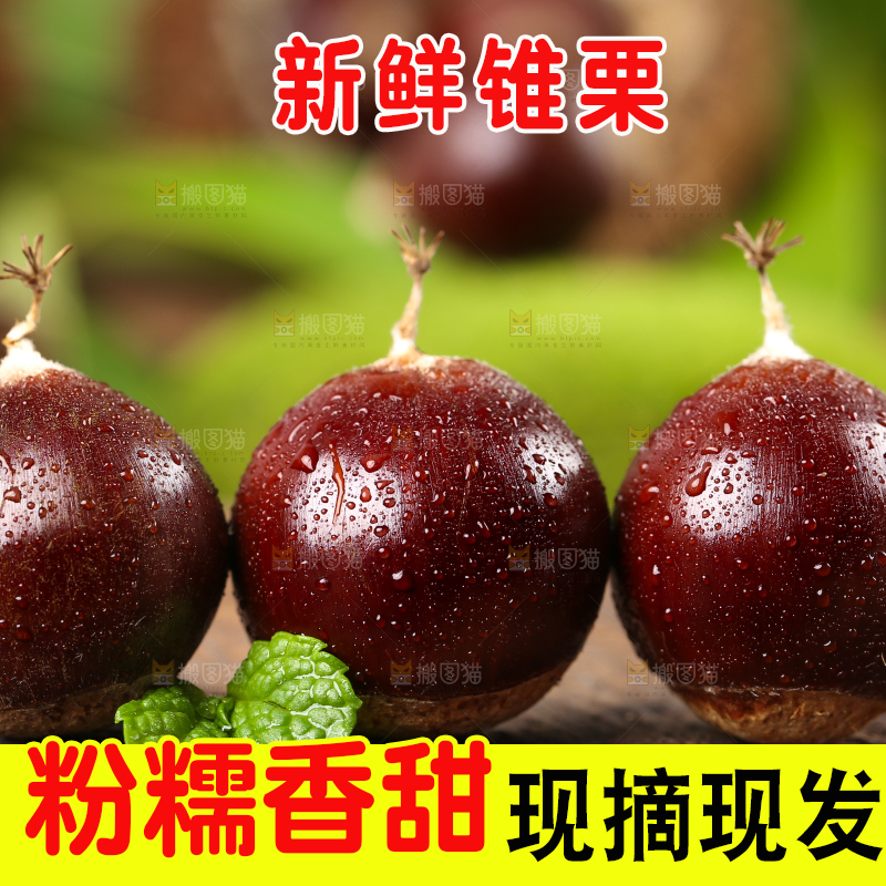 木底上放着栗子