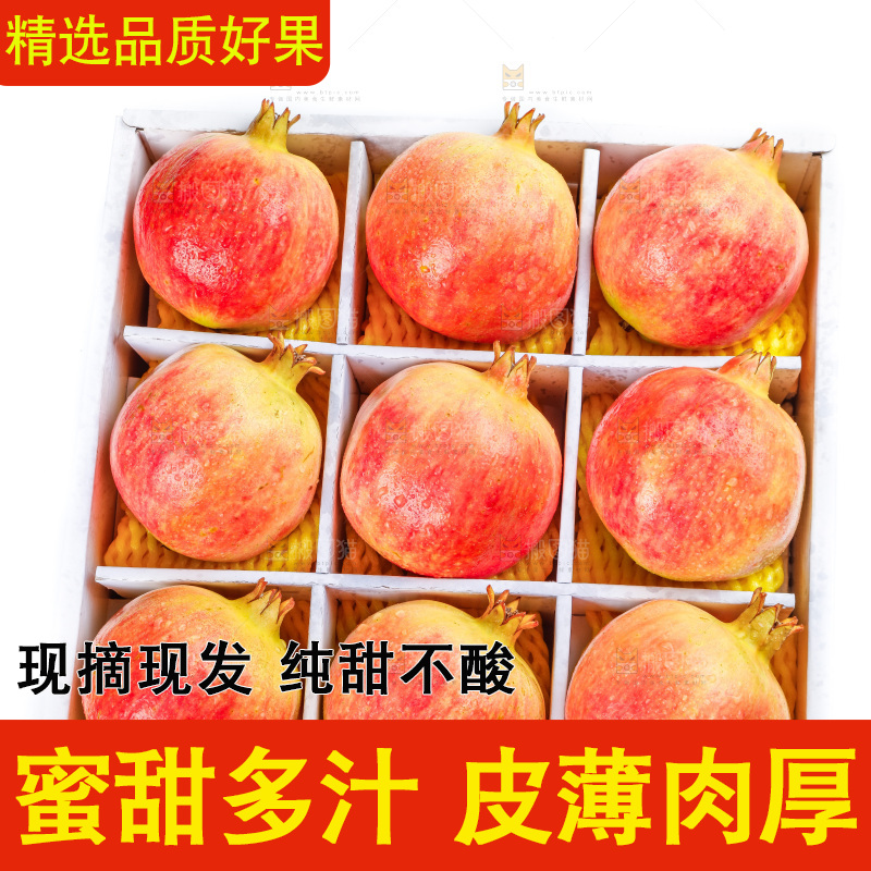 白底上一箱突尼斯石榴