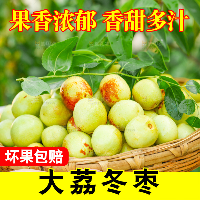 农民手上端着一篮新鲜冬枣