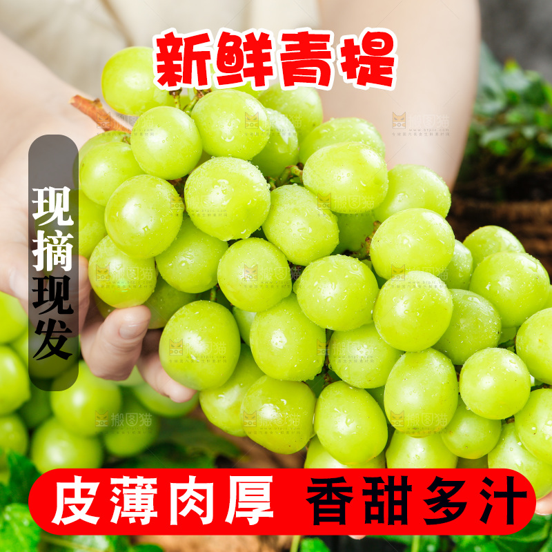 手上拿着一串阳光玫瑰青提