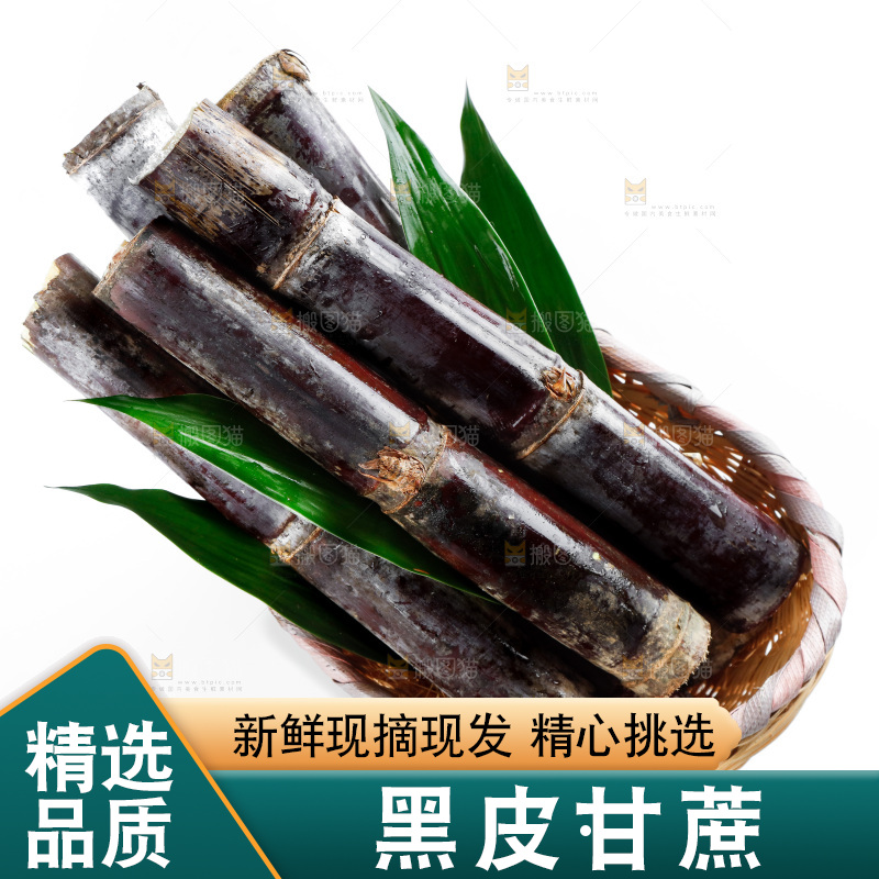 白底上放着一篓海南甜甘蔗