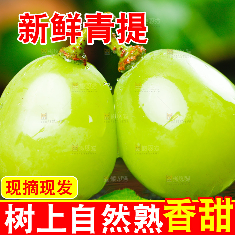 黑底上的阳光玫瑰葡萄