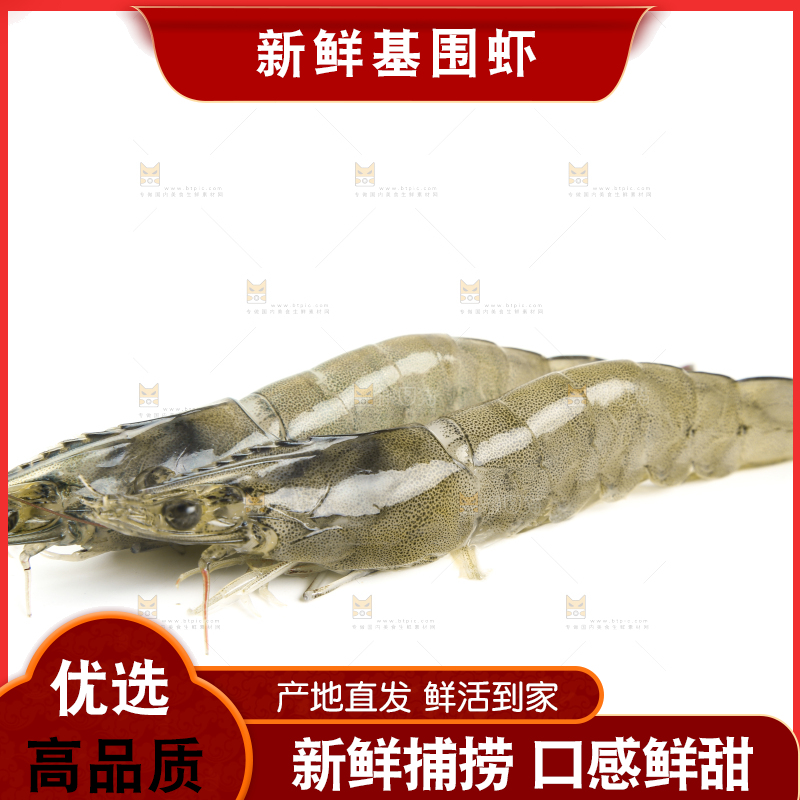 白底上放着新鲜基围虾