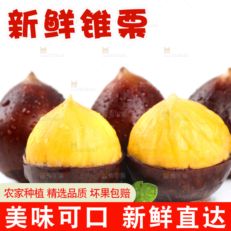 白底上放着高山锥栗