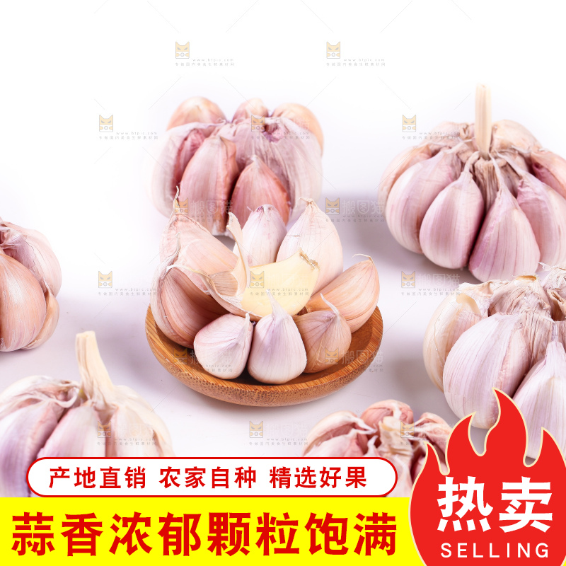 白底上的大蒜