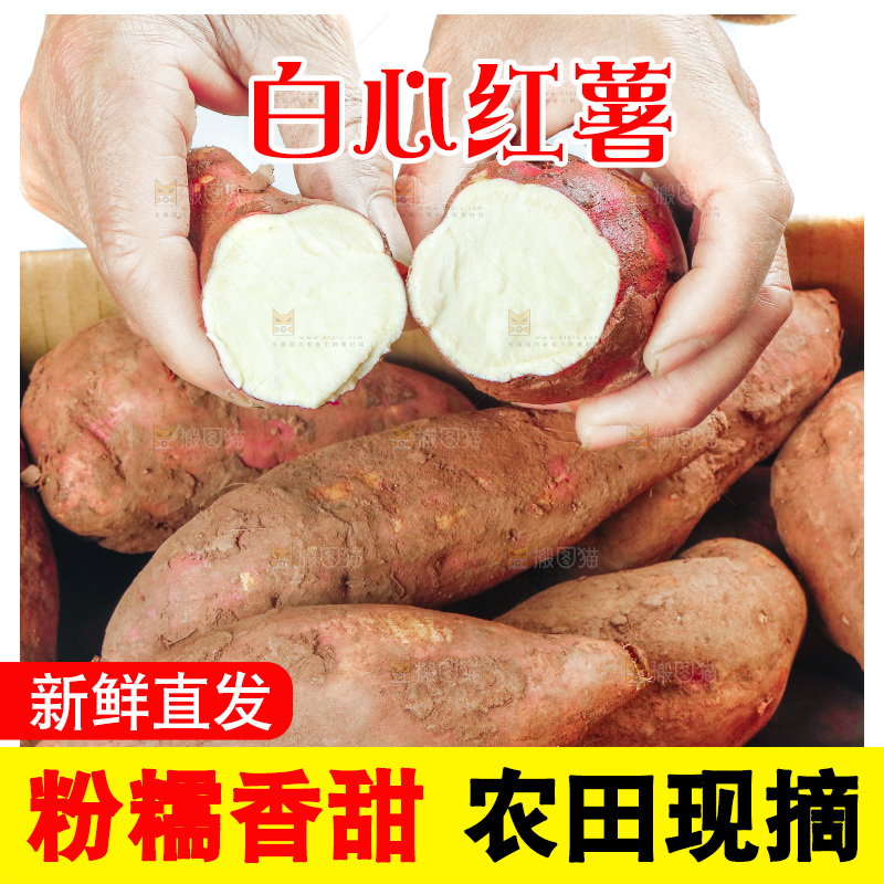 手上拿着板栗薯