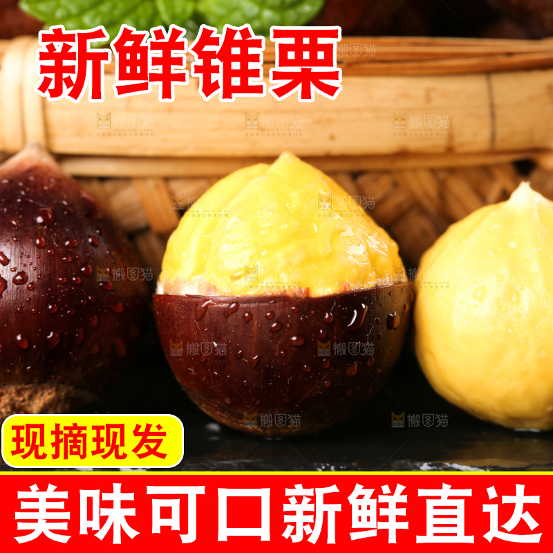 黑底上的锥栗和去壳的锥栗仁