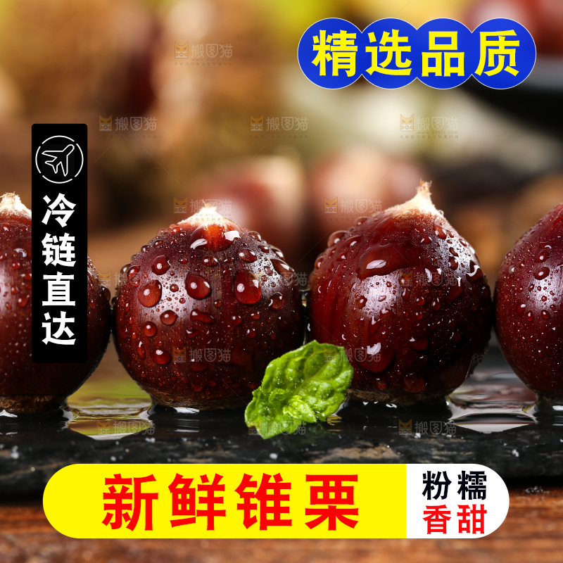 黑底上放着鲜锥栗