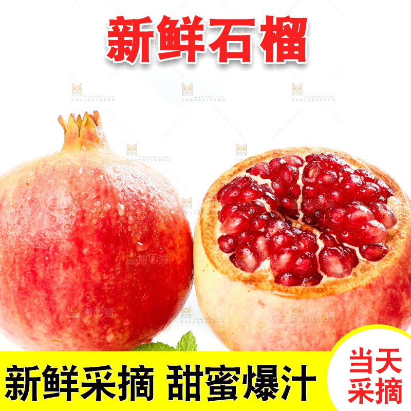 白底上的石榴