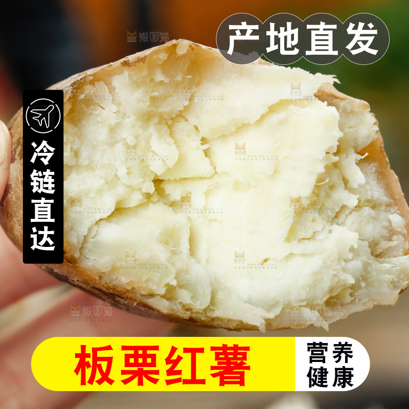手上拿着白心板栗红薯