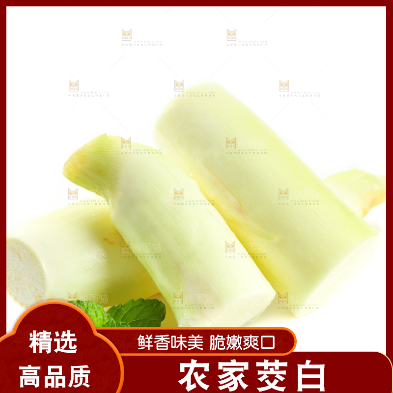 白底上的茭笋