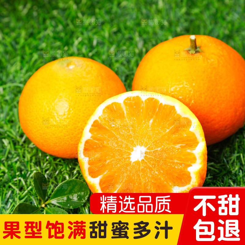 绿色草坪上放着爱媛桔橙