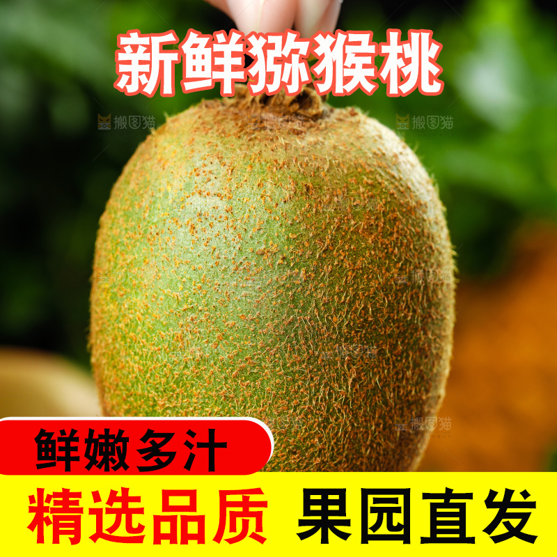 手上拿着修文猕猴桃