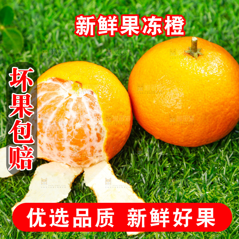 绿色草坪上放着爱媛桔橙