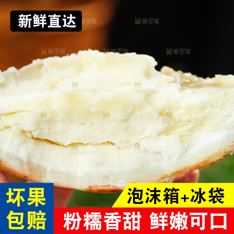 手上拿着白心板栗红薯