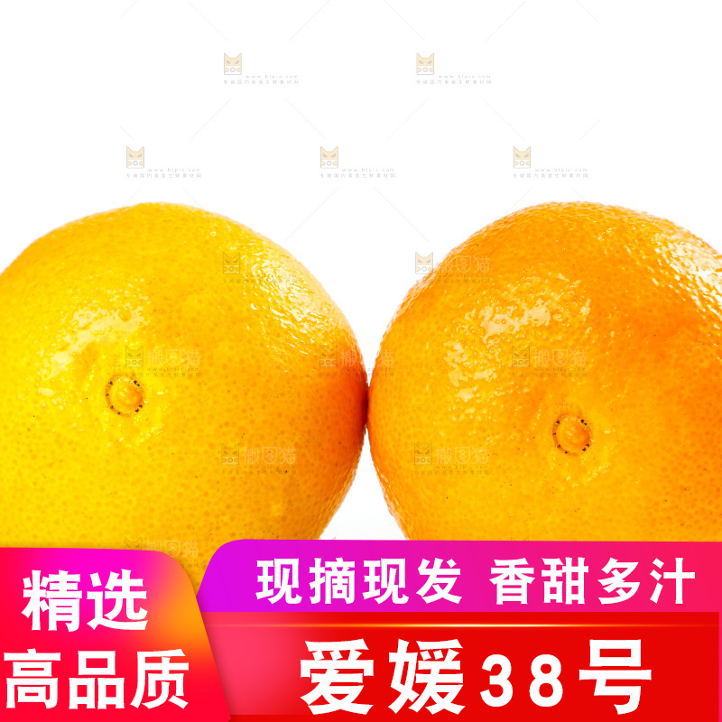 白底上的四川爱媛 