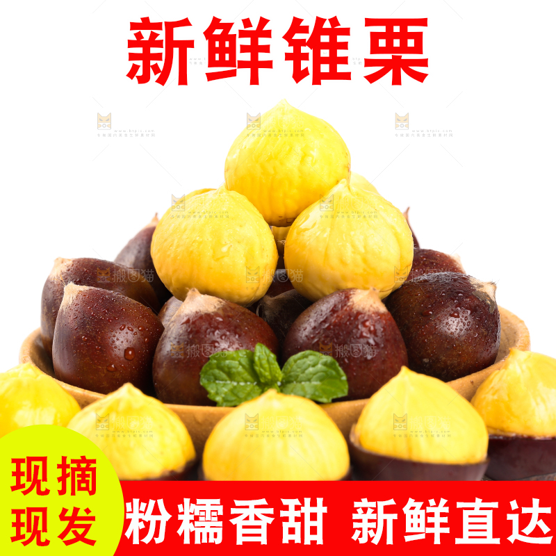 白底上一盘建瓯圆锥栗