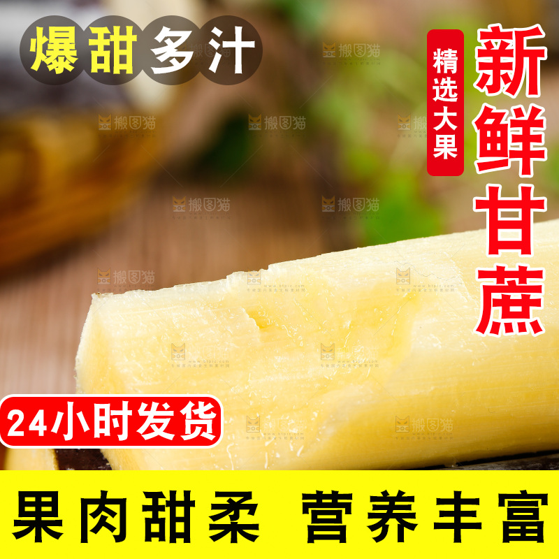 深木底上的广西甘蔗