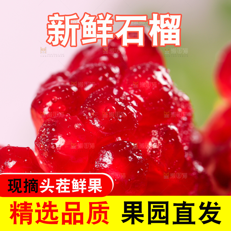 木板上的软籽红石榴