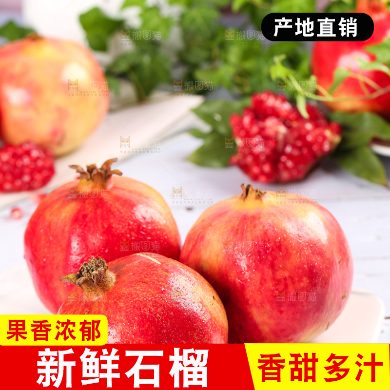 白石板上的软籽石榴