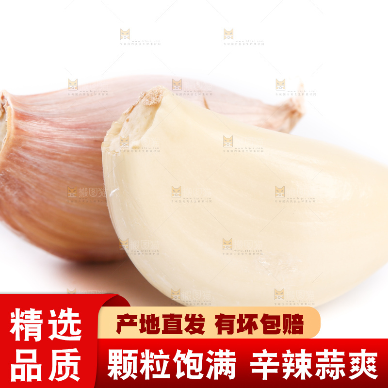 白底上的干大蒜