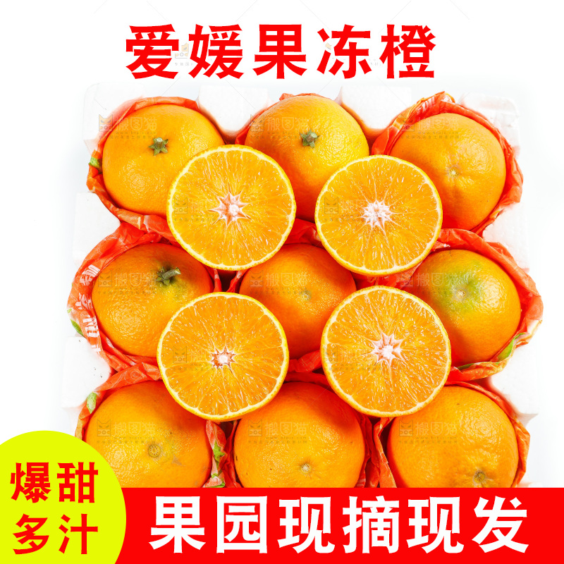 白底上放着一箱爱媛桔橙