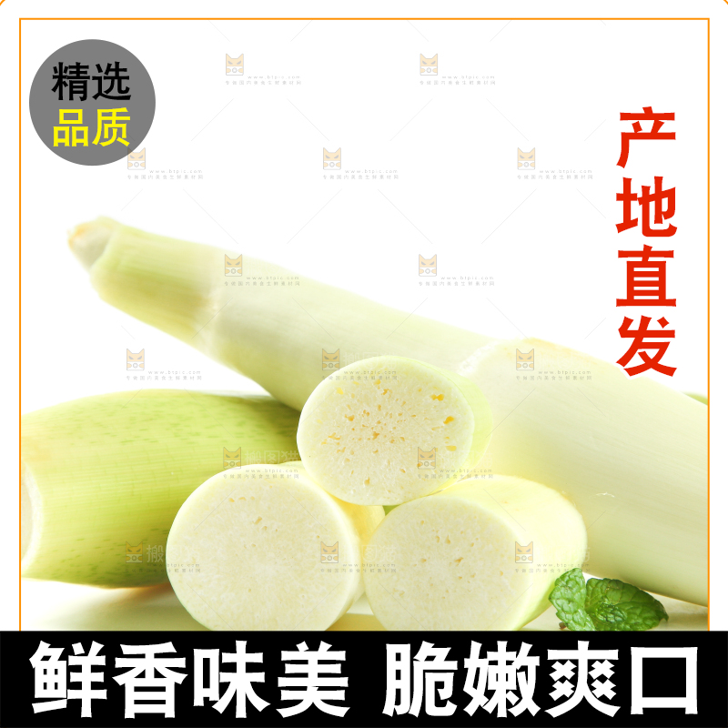 白底上放着一堆湖北新鲜茭白