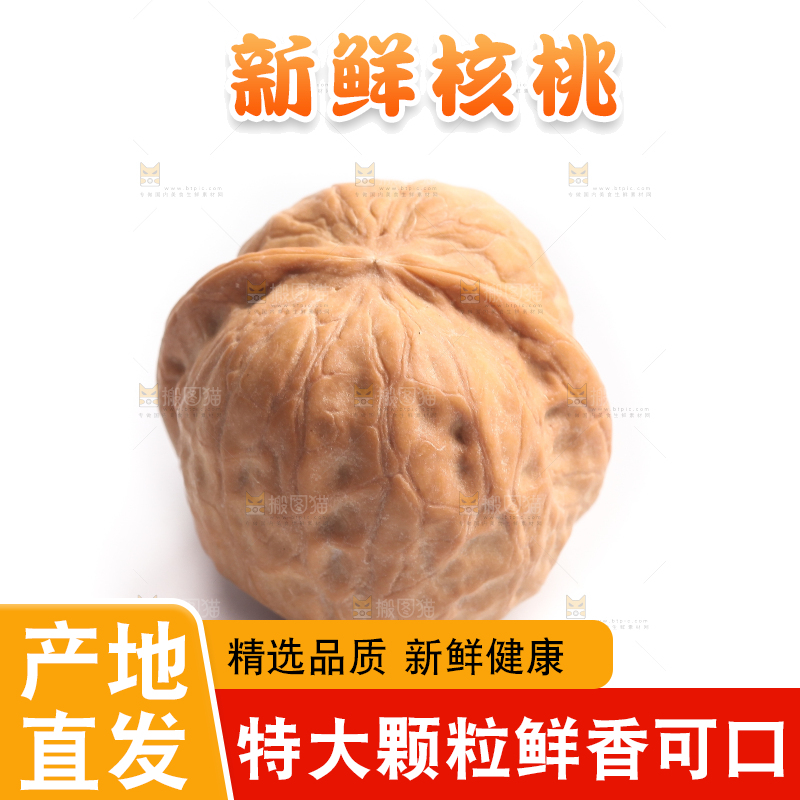 白底上放着一个核桃