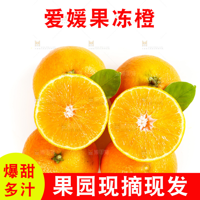 白底上放着一堆四川爱媛