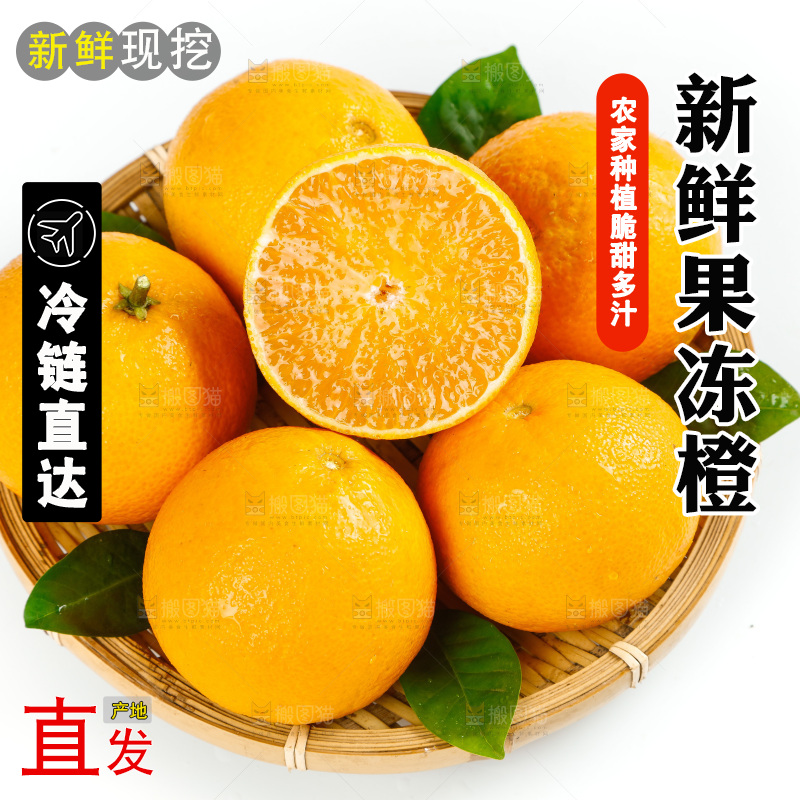 白底上篮子里的爱媛38号柑橘