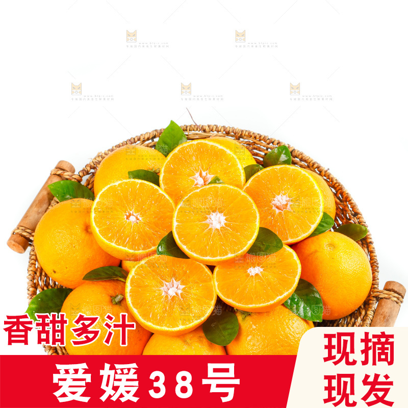 白底上一篮爱媛38号果冻橙